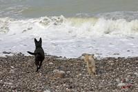 Cjp_2010_04_14_132903 (2).jpg